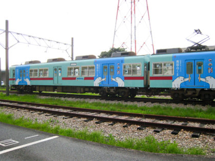 2010_07_shirokuma_train_02